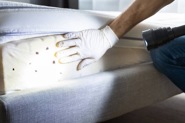 Best Residential Pest Control  in Port Vue, PA