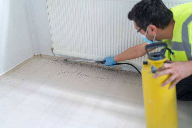 Pest Control for Restaurants in Port Vue, PA