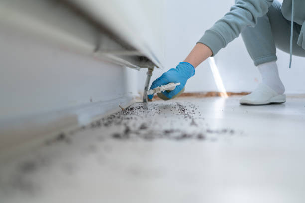Best Affordable Pest Control Services  in Port Vue, PA