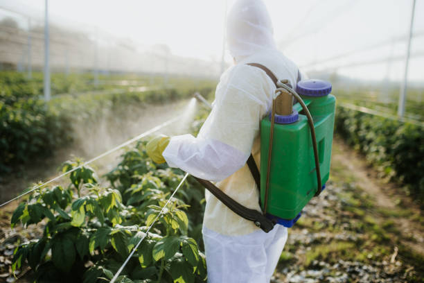 Best Emergency Pest Control  in Port Vue, PA